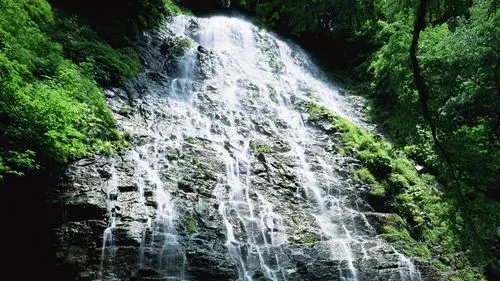 节能数字化